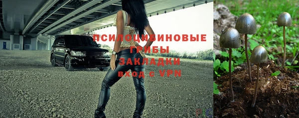 прущий лед Арсеньев